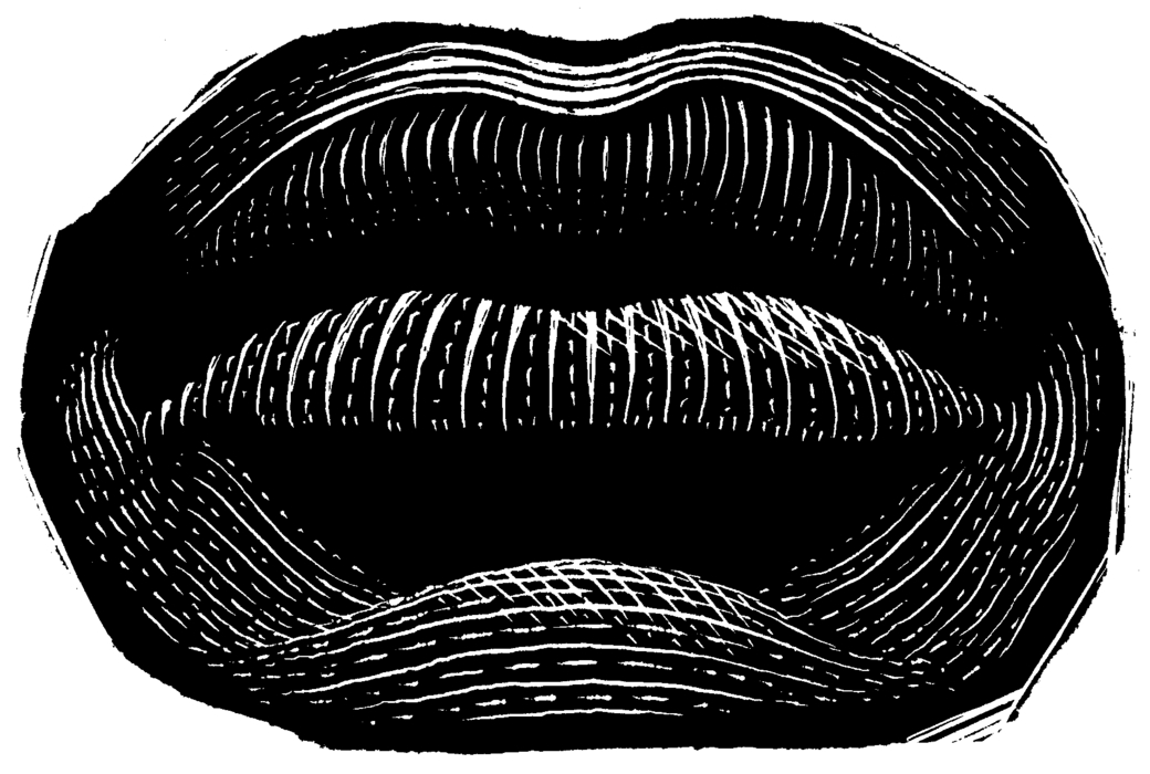Mouth and Lips