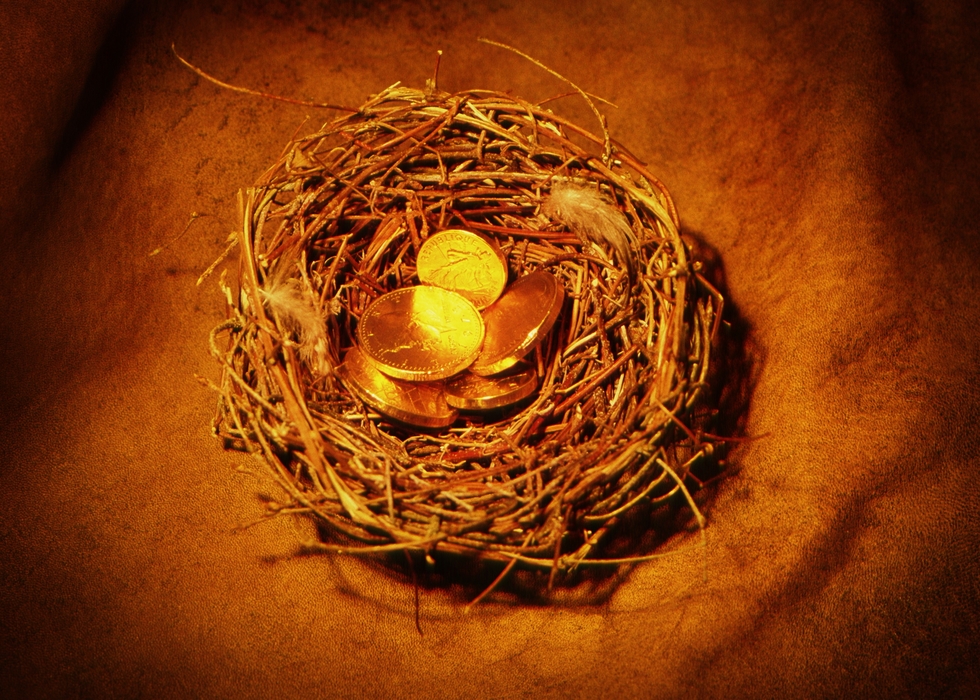 Birds Nest with Gold Coins