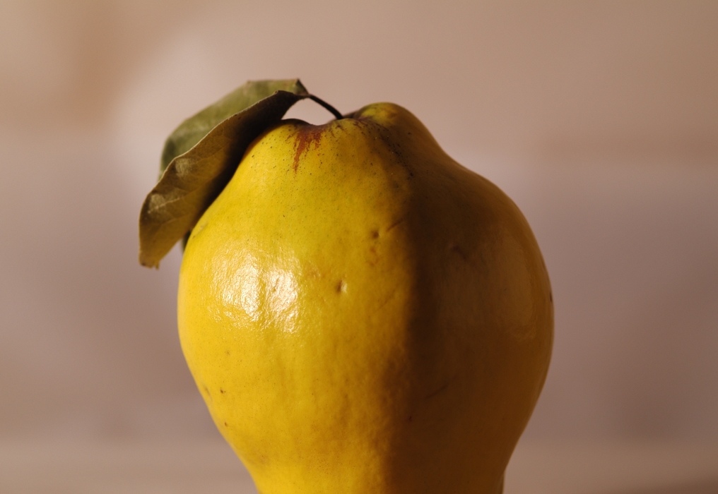 Ripe Pear with Leaf