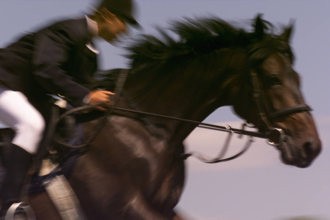 Equestrian - Horse Jumping