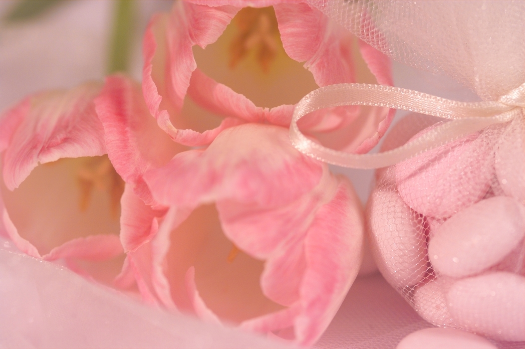 The Wedding Day:  Wedding Candies with Pink Tulips