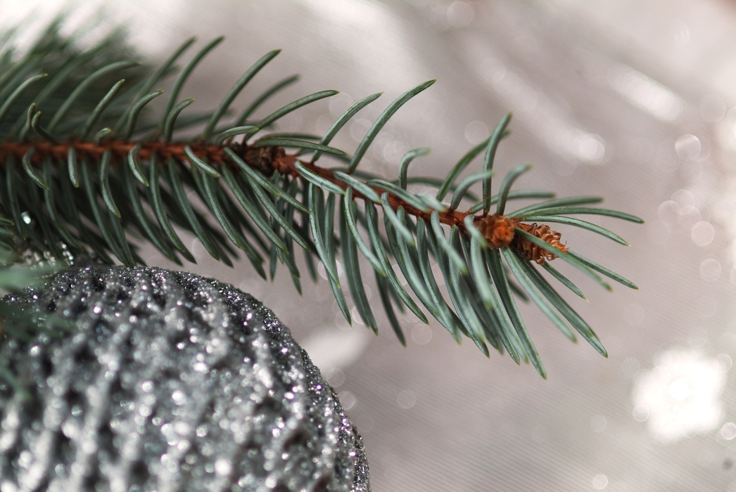 Christmas Ornaments: Pine Branch