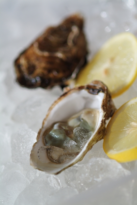 Fresh Oysters on the Half Shell with Lemon