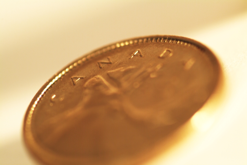 Canadian Loonie Coins