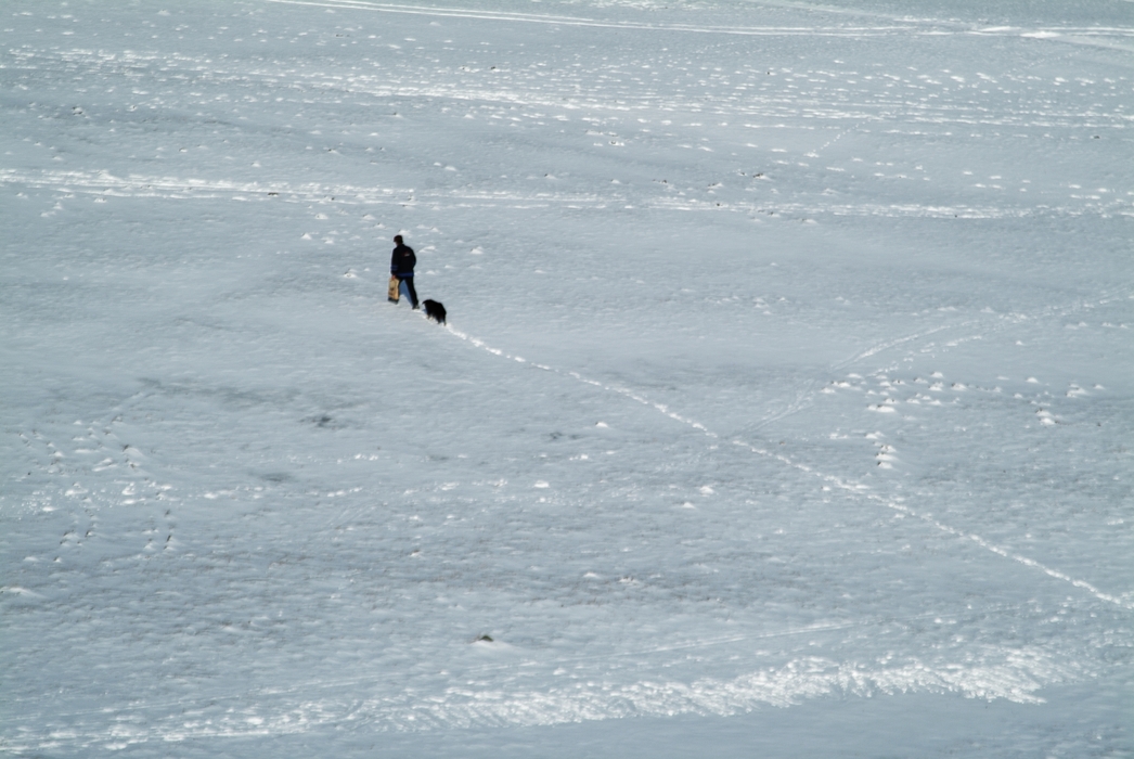 Solitary Man and Dog Trudging Through Snow