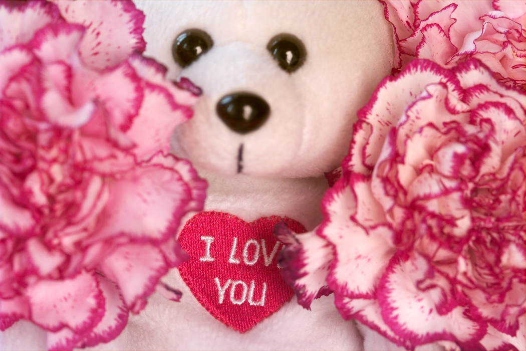 Valentines Day Teddy Bear Says I Love You