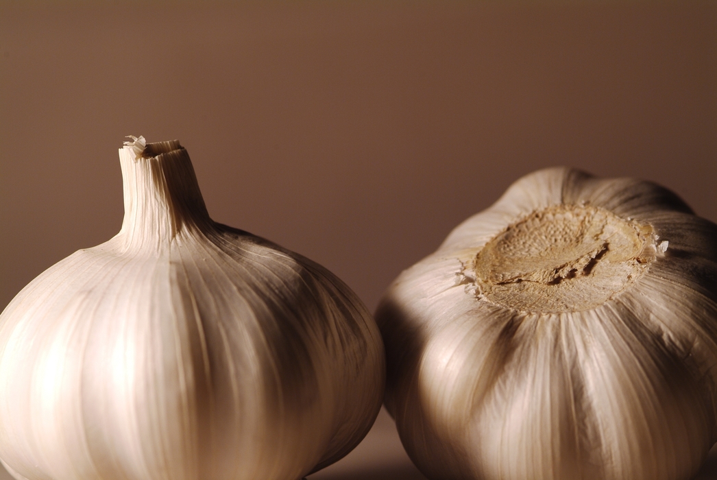 Two Garlic Heads