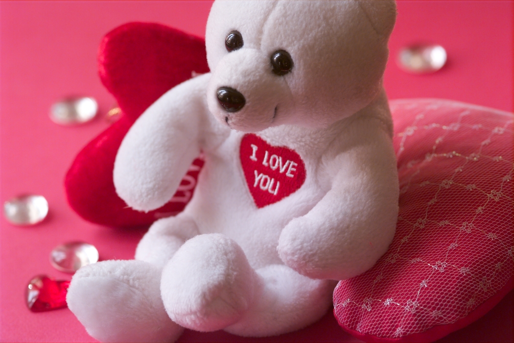 Valentines Day Teddy Bear Says I Love You