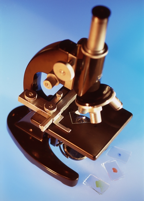 Microscope and Slides
