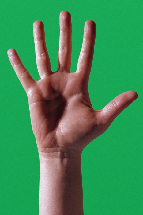 Open Hand Showing Five Fingers