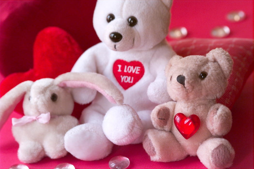 Valentines Day Teddy Bears Love You