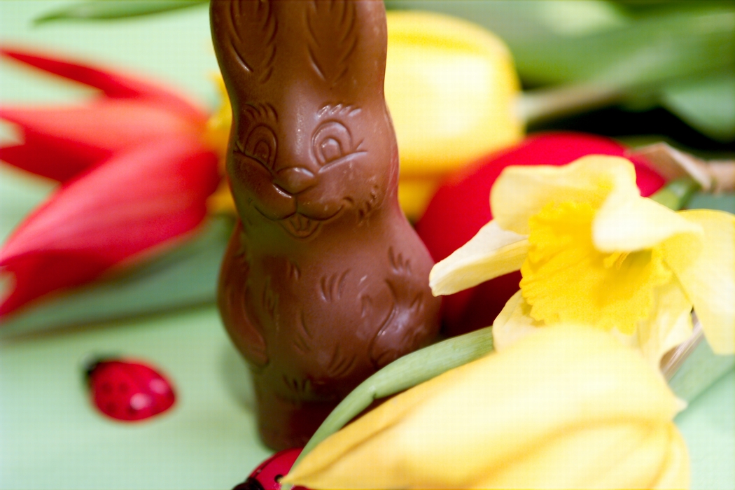 Chocolate Easter Bunny with Tulips