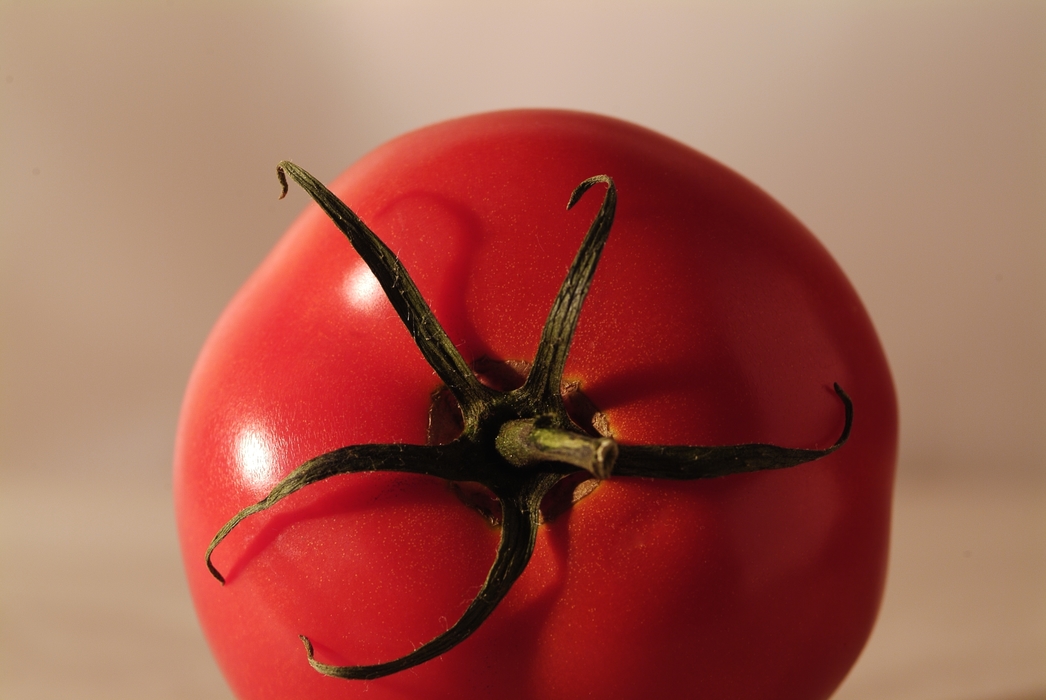Tomato with Stem