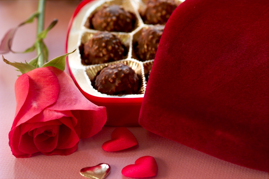 Valentines Day Chocolate Candy with Red Rose