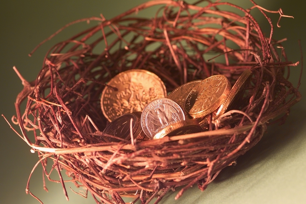 Nest with Money Coins
