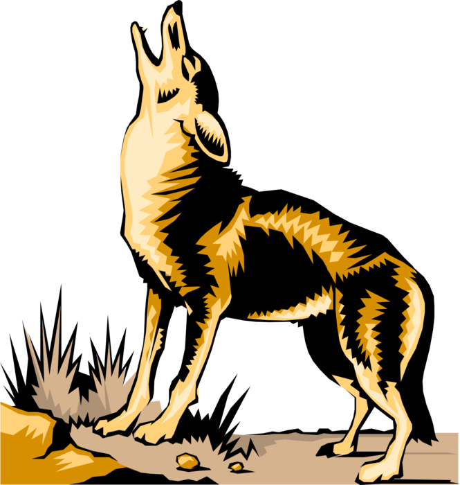 Vector Illustration of Coyote Canine Howls in the Desert