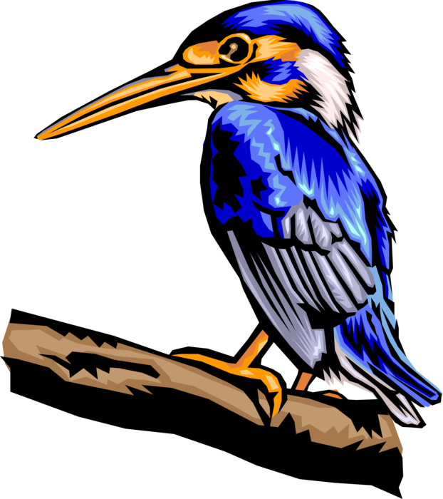 Vector Illustration of Feathered Vertebrate Blue Bird with Long Beak