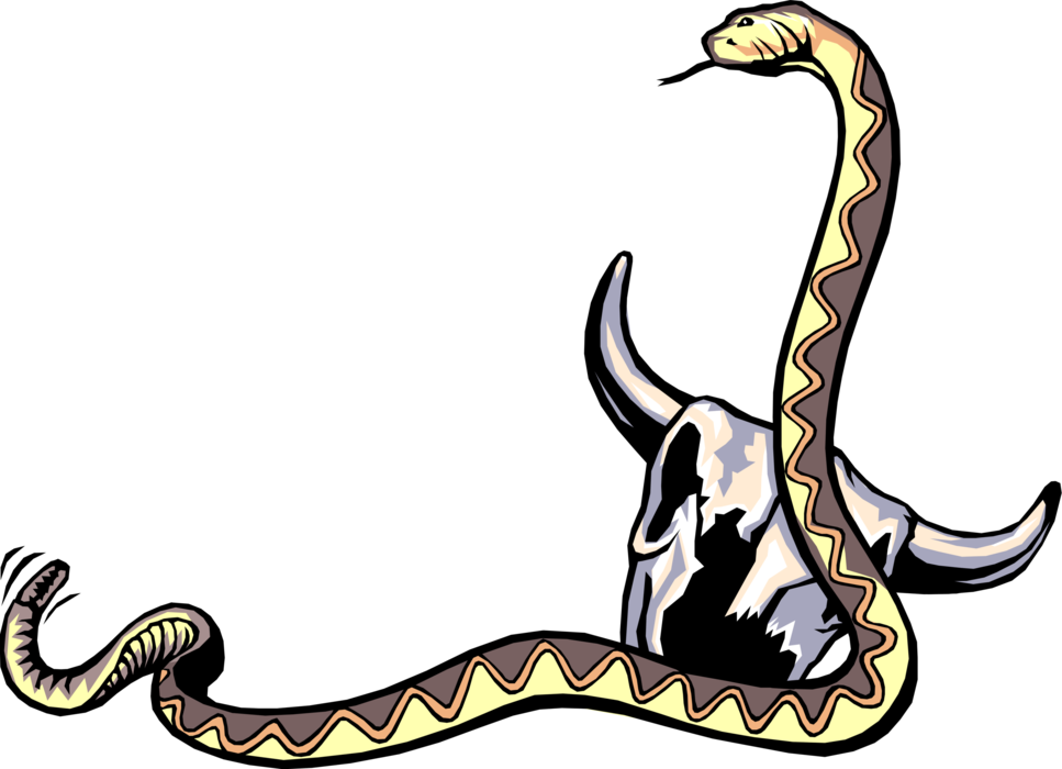 Vector Illustration of Reptile Rattle Snake with Cattle Cow's Skull