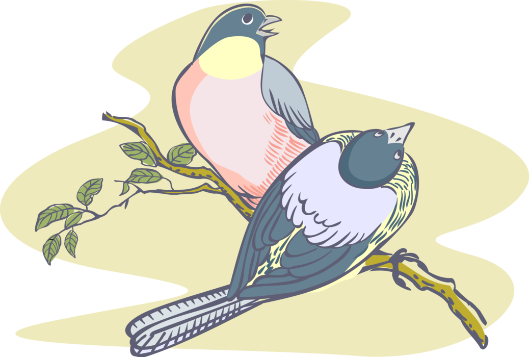 Vector Illustration of Feathered Vertebrate Robin Birds on Branch