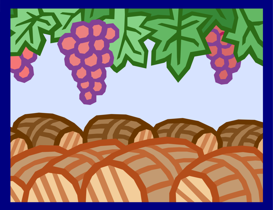 Vector Illustration of Barrel Casks in Wine Vineyard with Grapes Ready for Harvest