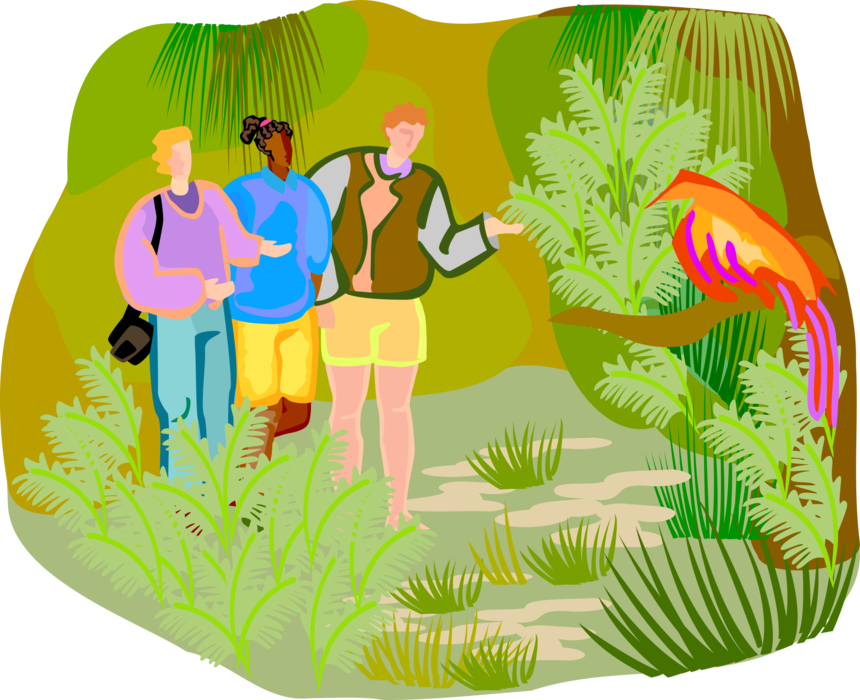 Vector Illustration of Tourists Walking Through Nature Preserve with Exotic Plants and Birds