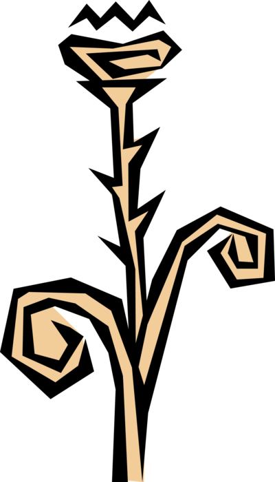 Vector Illustration of Thorny Rose Garden Flower Plant