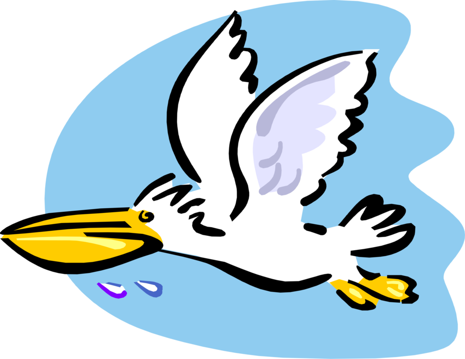 Vector Illustration of Large Water Bird Pelican Flying