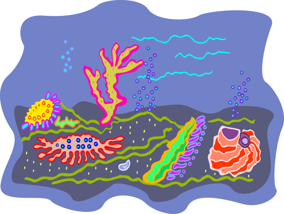 Vector Illustration of Colorful Underwater Marine Life with Coral