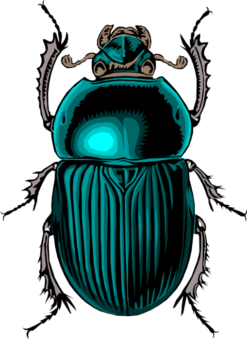 Vector Illustration of Insect Scarab Beetle