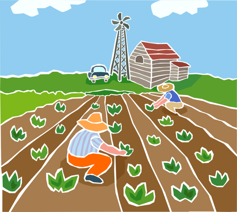 Vector Illustration of Farmers Planting Vegetable Garden Crops with Windmill and Barn