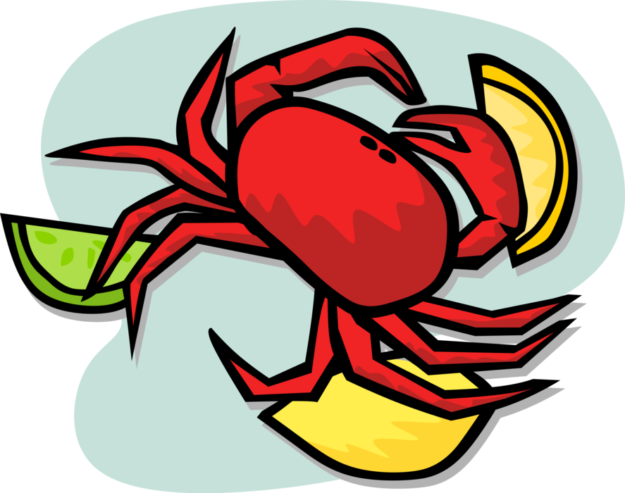 Vector Illustration of Decapod Marine Crustacean Crab Seafood with Citrus Lemon and Lime Slices