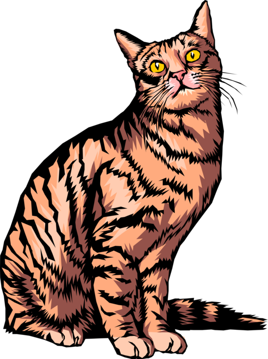 Vector Illustration of Family Pet Domestic Small Domesticated Carnivore Kitten Cat