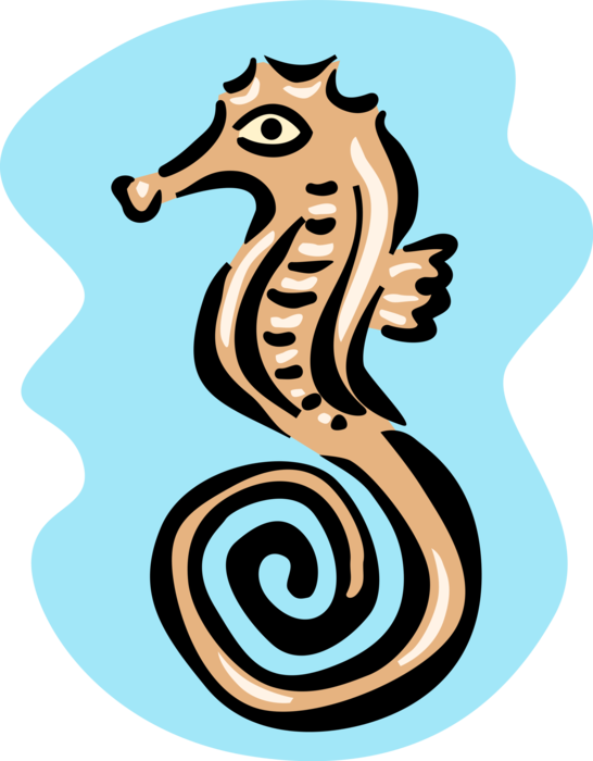 Vector Illustration of Marine Fish Hippocampus Genus Seahorse