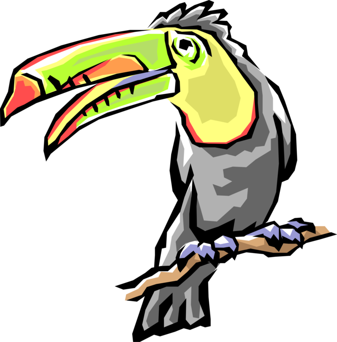 Vector Illustration of Colorful Large-Bill Toucan Bird on Tree Branch