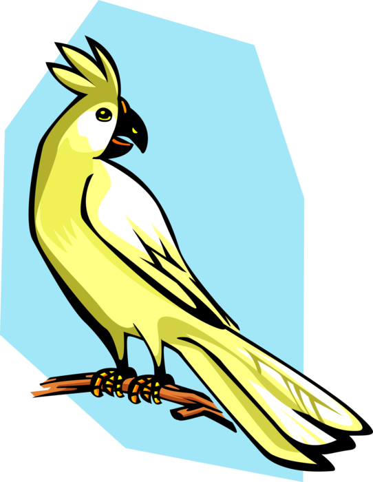Vector Illustration of Cockatoo Parrot Bird