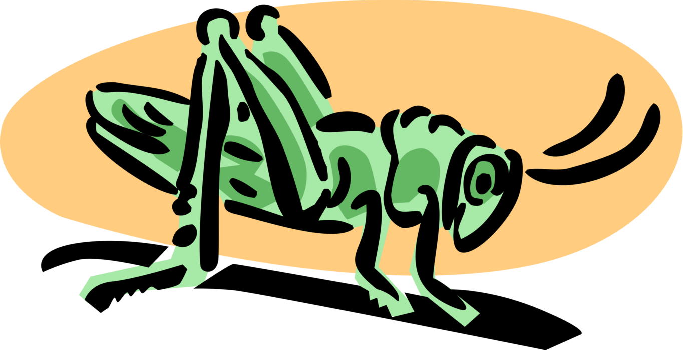 Vector Illustration of Ground-Dwelling Green Grasshopper Insect