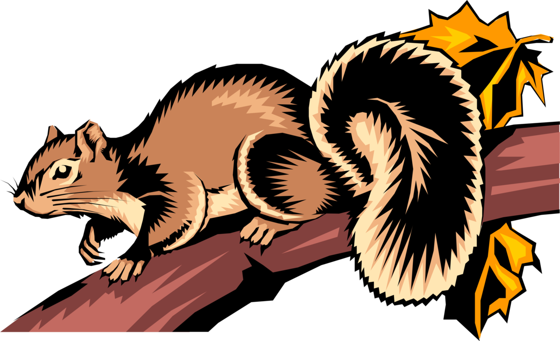 Vector Illustration of Arboreal, Bushy-Tailed Rodent Squirrel