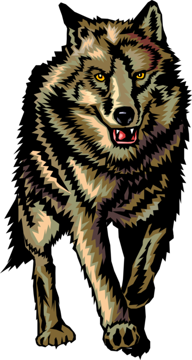 Vector Illustration of North American Timber Wolf