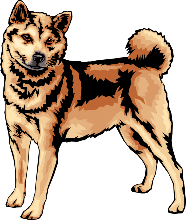 Vector Illustration of Family Pet Shiba Inu Dog Ready to Play