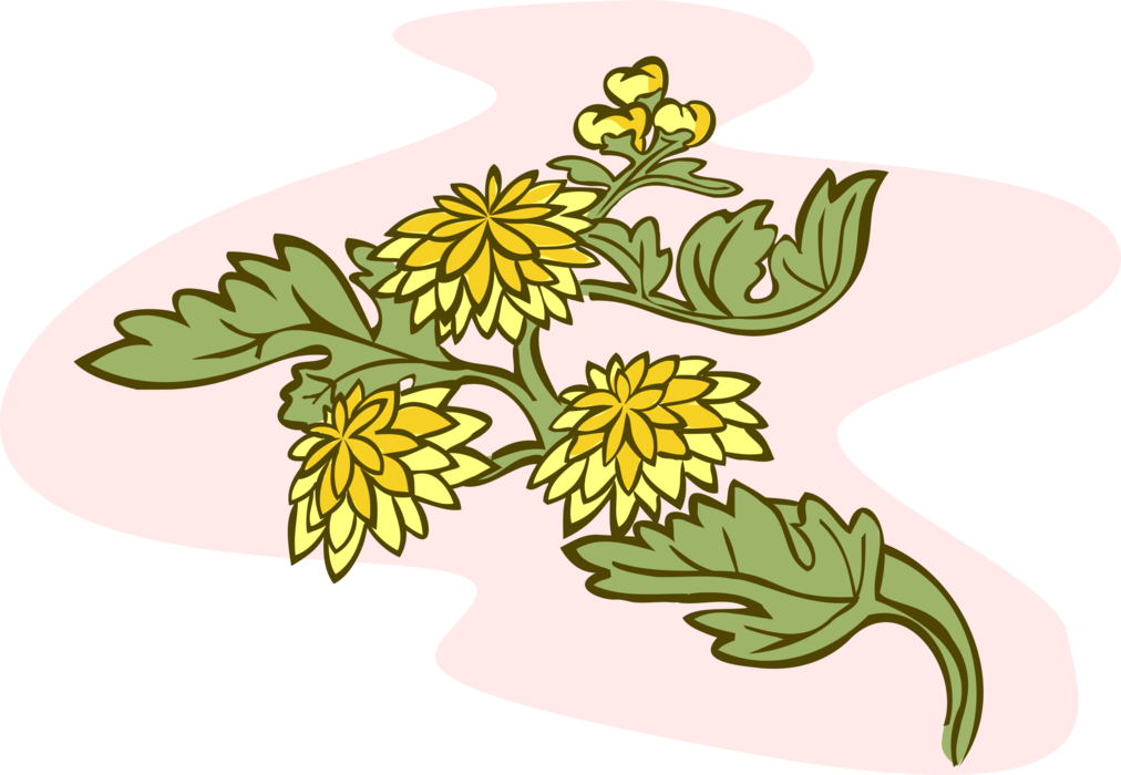 Vector Illustration of Yellow Flowers with Leaves