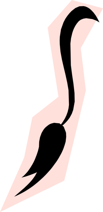 Vector Illustration of Donkey Tail Symbol