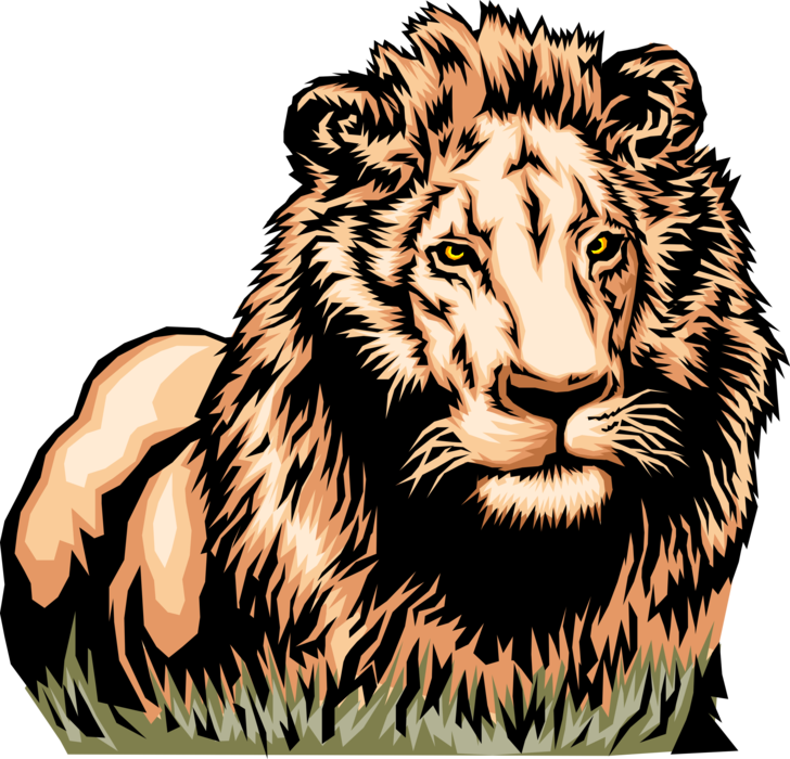 Vector Illustration of Male African Lion King of Jungle Lies in the Grass Ready to Strike