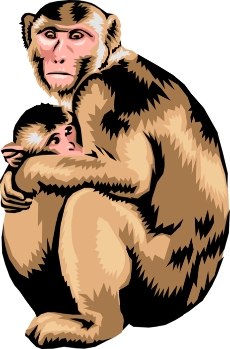 Vector Illustration of Primate Monkey Mother and Infant Baby