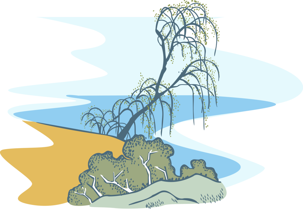 Vector Illustration of Country Landscape with Trees and Forest