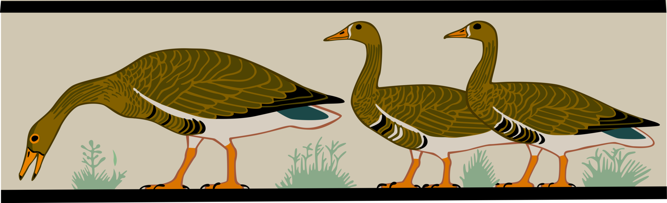 Vector Illustration of Three Geese Birds Walking