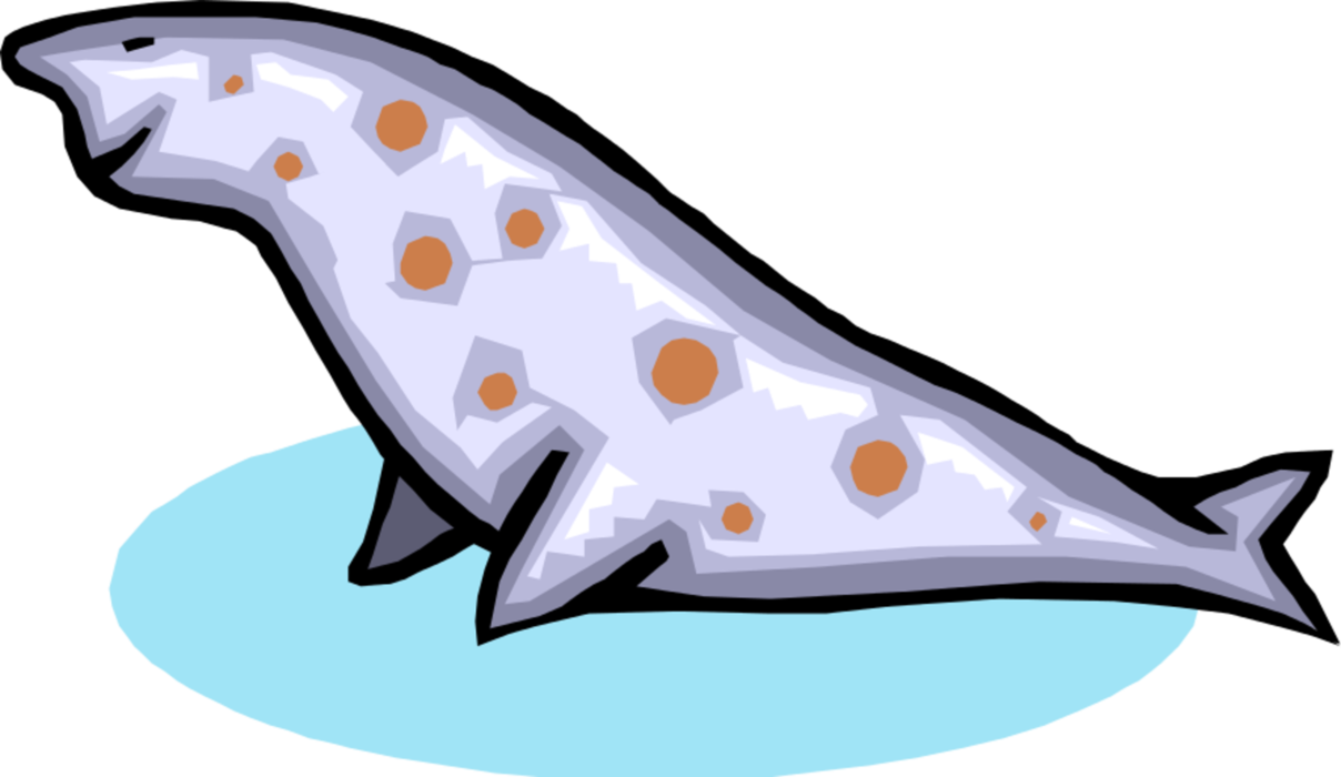 Vector Illustration of Harbor Seal with Pink Spots