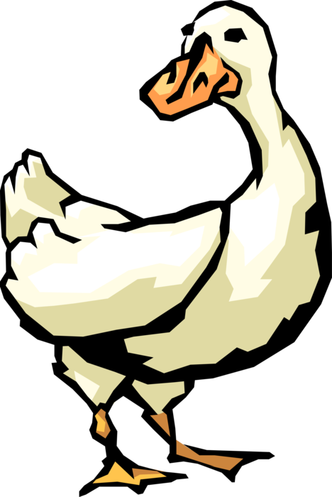 Vector Illustration of White Waterfowl Duck Bird