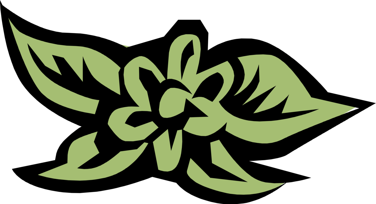 Vector Illustration of Floral Design