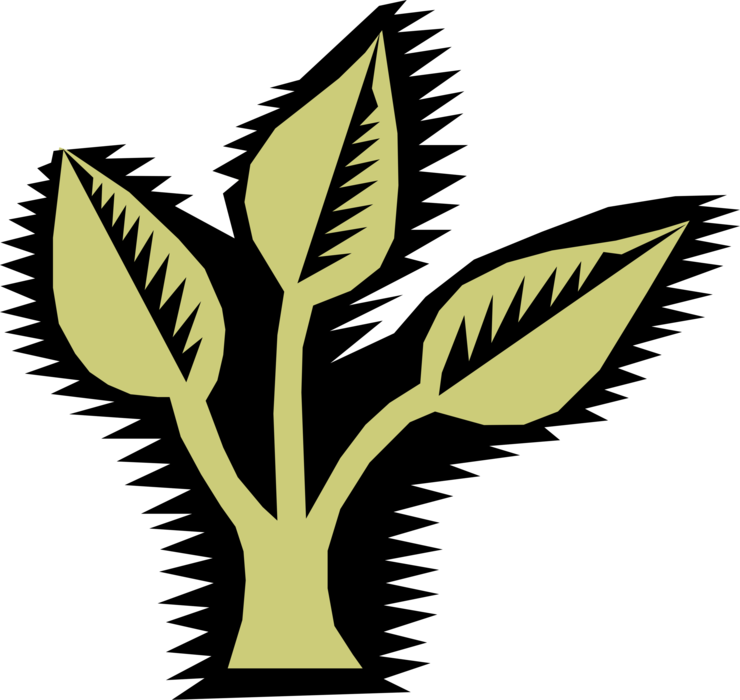 Vector Illustration of Nature Plant Leaves