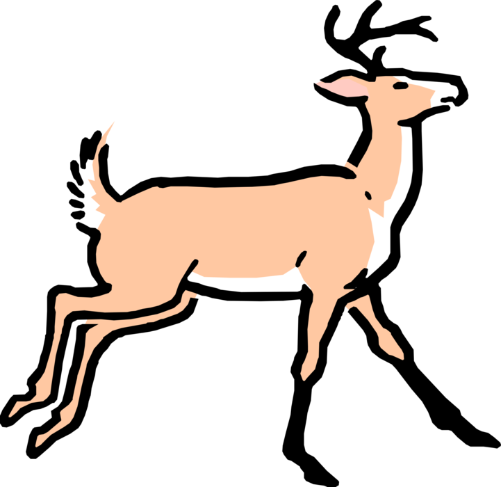 Vector Illustration of Cartoon White-Tailed Deer Running